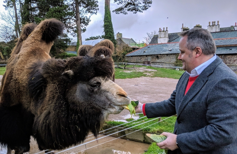 Tourism Tax fears voiced during Welsh Mountain Zoo visit
