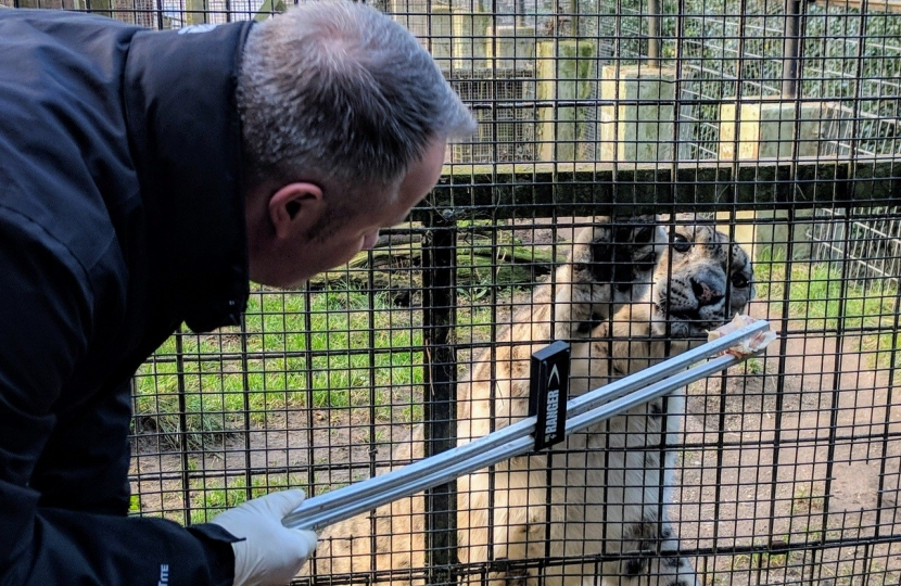 Minister rejects calls for a Welsh Zoo Support Fund 