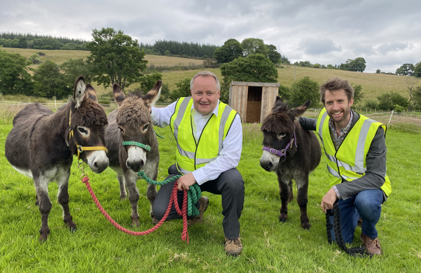 Successful Denbighshire family business offers new donkey experience 