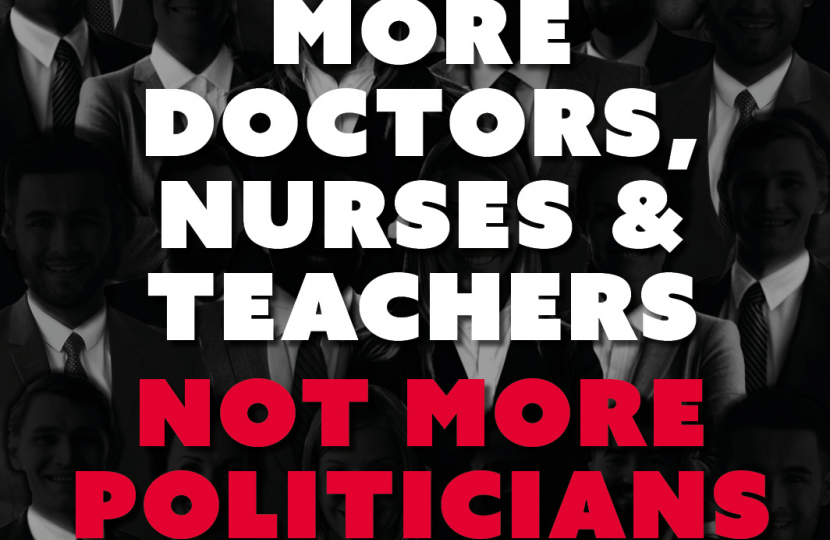 The people of Wales want more doctors, dentists, nurses and teachers, not more politicians